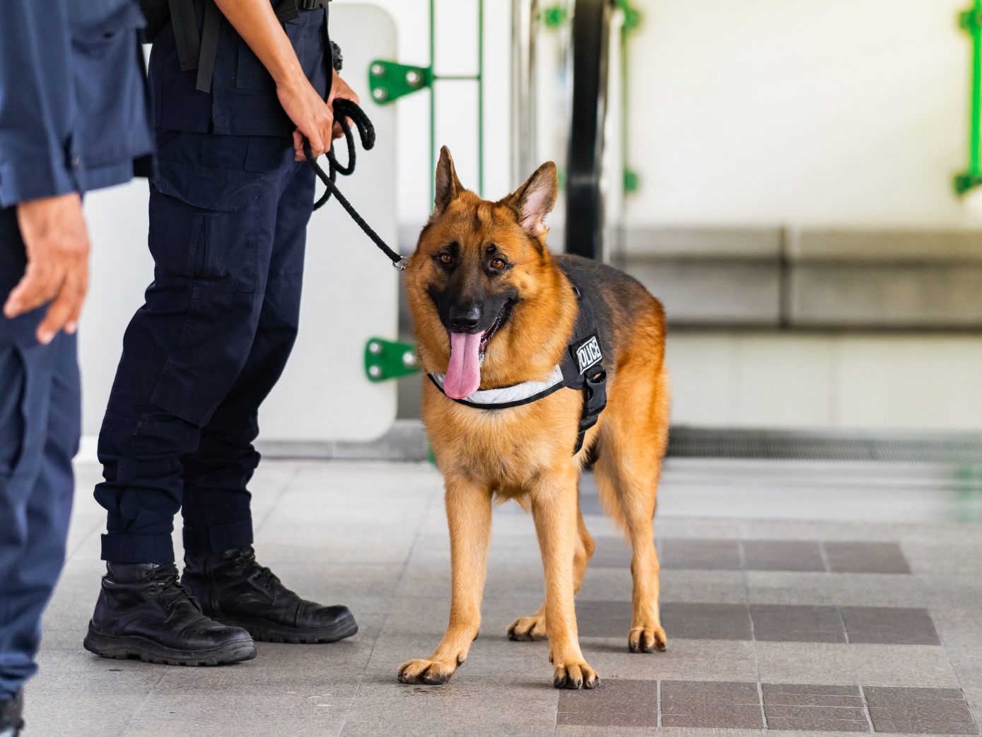 In Wien-Hernals schlug ein Drogenspürhund womöglich auf Dünger an.