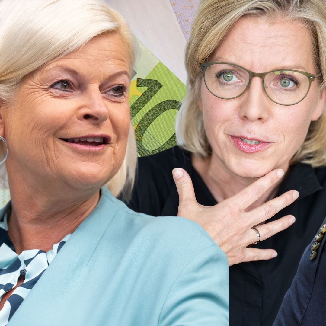 Der größte Brocken stammte mit rund 1,2 Mio. Euro vom Klimaschutzministerium.