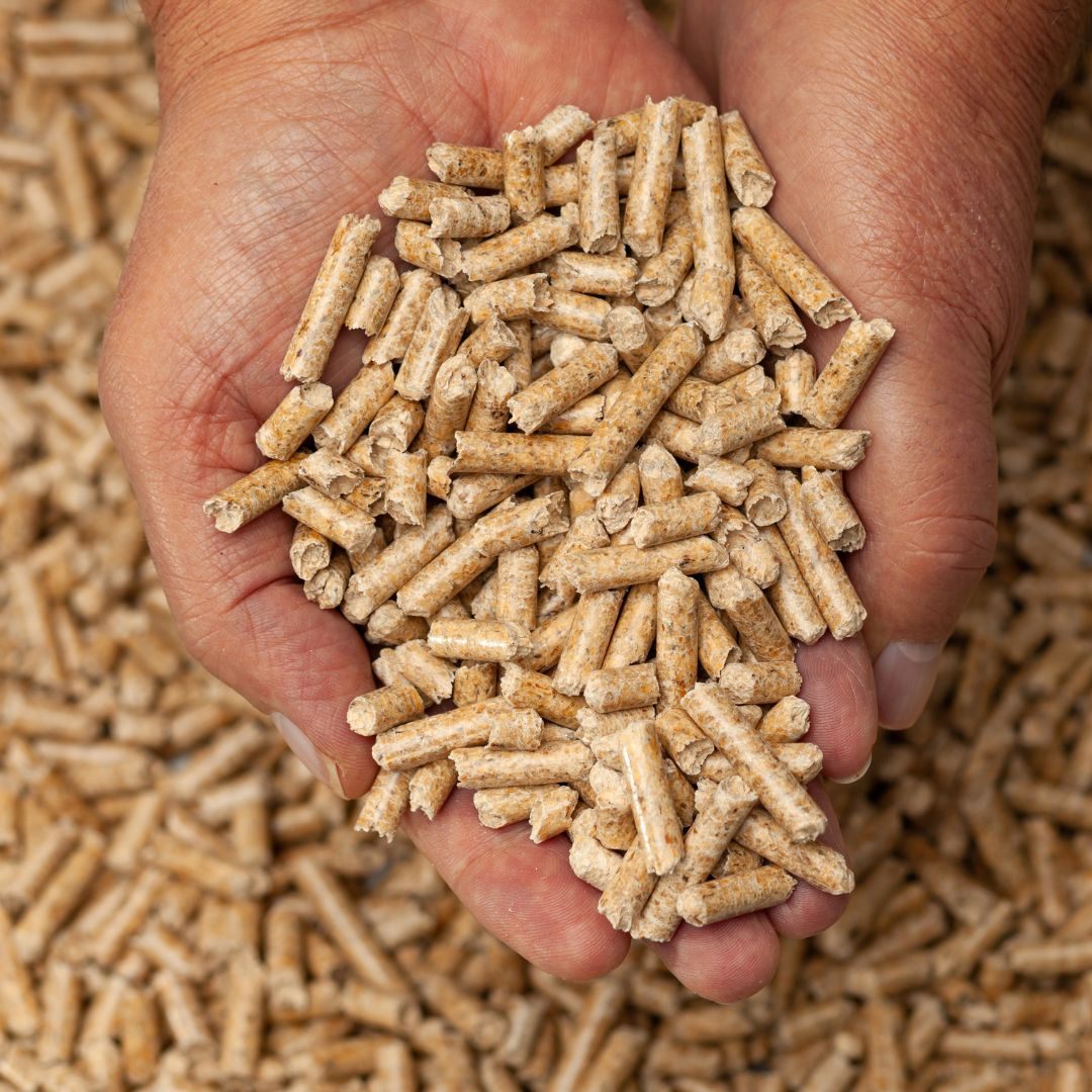 Im Sommer 2022 waren die Pelletpreise bis zu 140 Prozent nach oben geschossen.