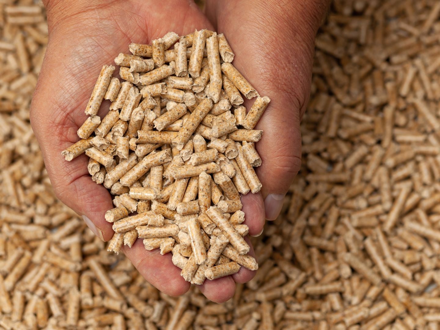 Im Sommer 2022 waren die Pelletpreise bis zu 140 Prozent nach oben geschossen.