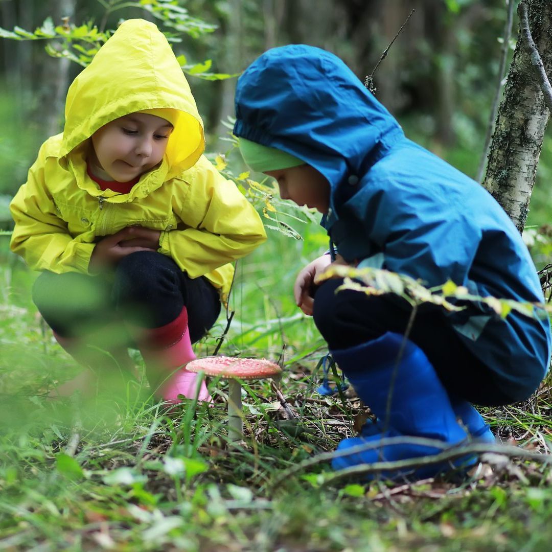 Für eine Infektion mit dem Fuchsbandwurm ist vor allem der Kontakt zum Waldboden problematisch.