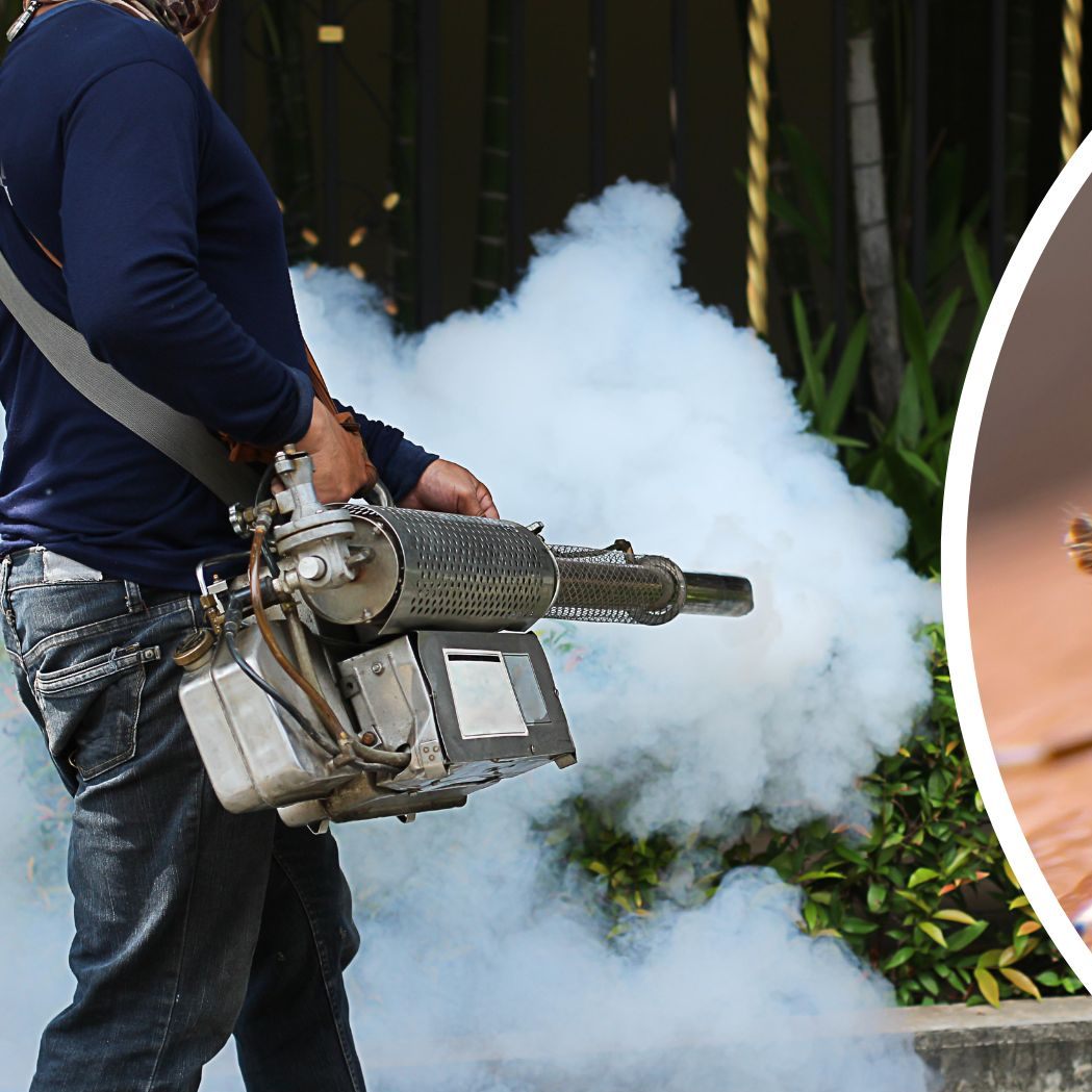 Wegen der Häufung von Fällen des Dengue-Fiebers ruft Guatemala den Gesundheitsnotstand aus.