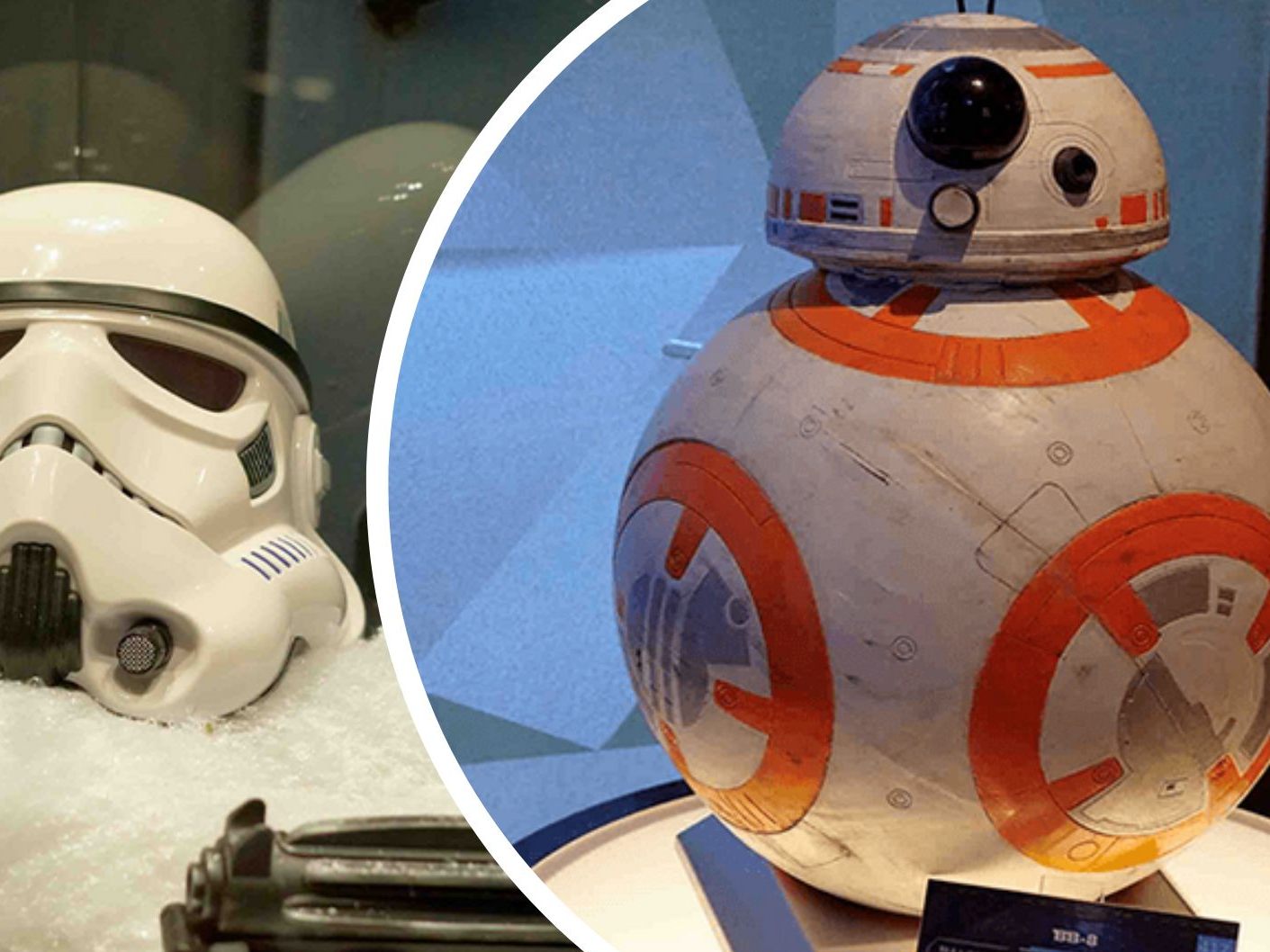 Am 16. November 2023 startet eine von Fans erstellte "Star Wars"-Ausstellung in der Wiener Stadthalle.