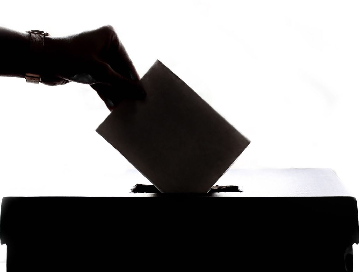 Marius Hladik wurde zum neuen Bundesschulsprecher gewählt.