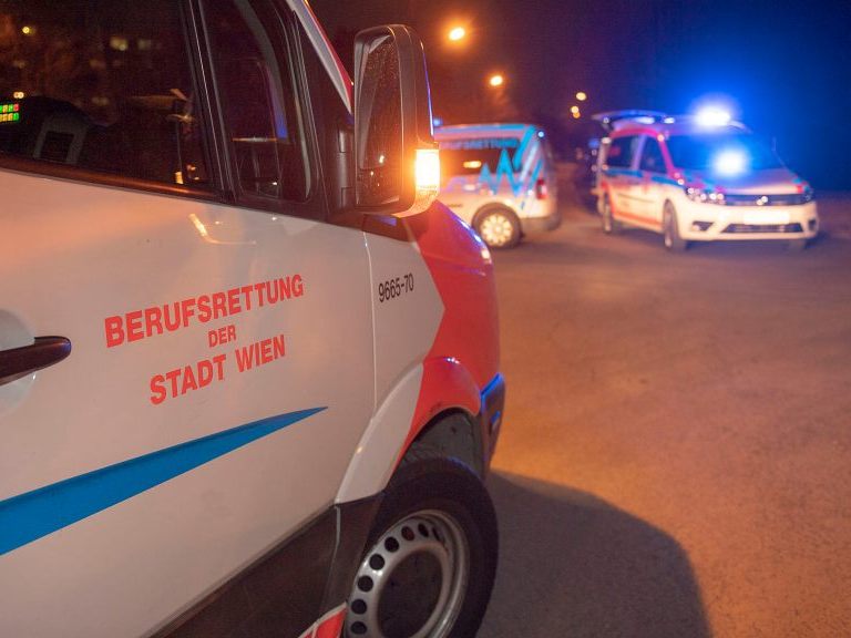 Die 48-jährige Unbeteiligte starb nach dem Unfall in einem Wiener Krankenhaus.