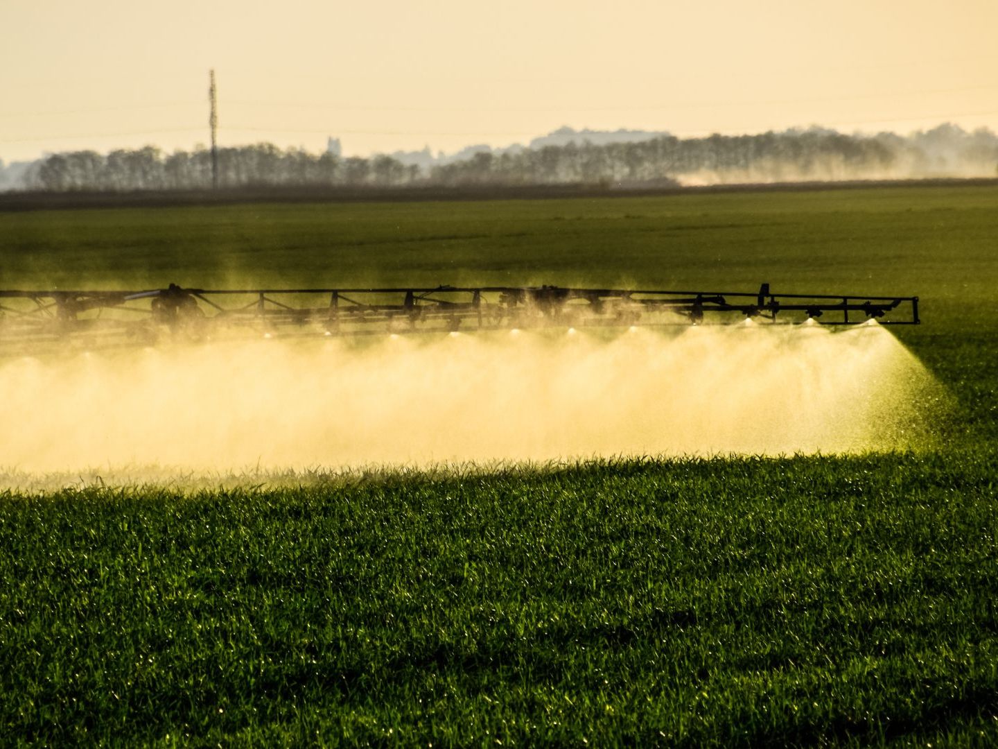 Glyphosat und sein Abbauprodukt dürften überaus problematisch für den menschlichen Organismus sein - dennoch ist das Mittel in elf von zwölf untersuchten EU-Ländern nachzuweisen.