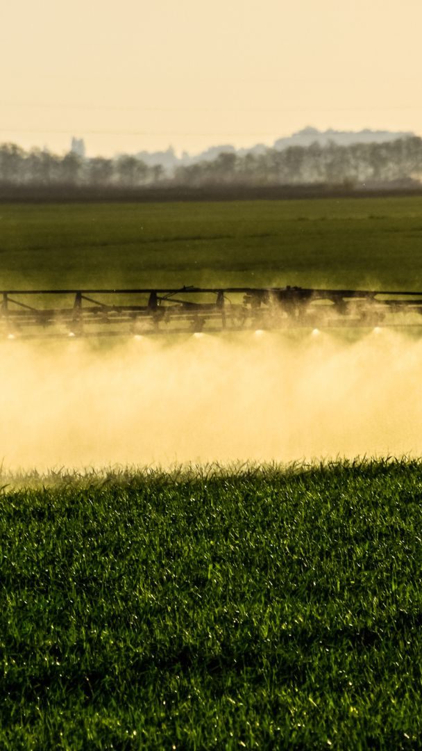 Glyphosat und sein Abbauprodukt dürften überaus problematisch für den menschlichen Organismus sein - dennoch ist das Mittel in elf von zwölf untersuchten EU-Ländern nachzuweisen.