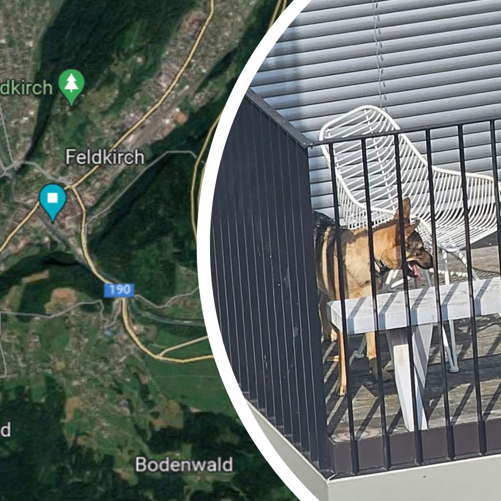 Ein Hund war ohne Schnatten auf dem Balkon ausgesperrt.