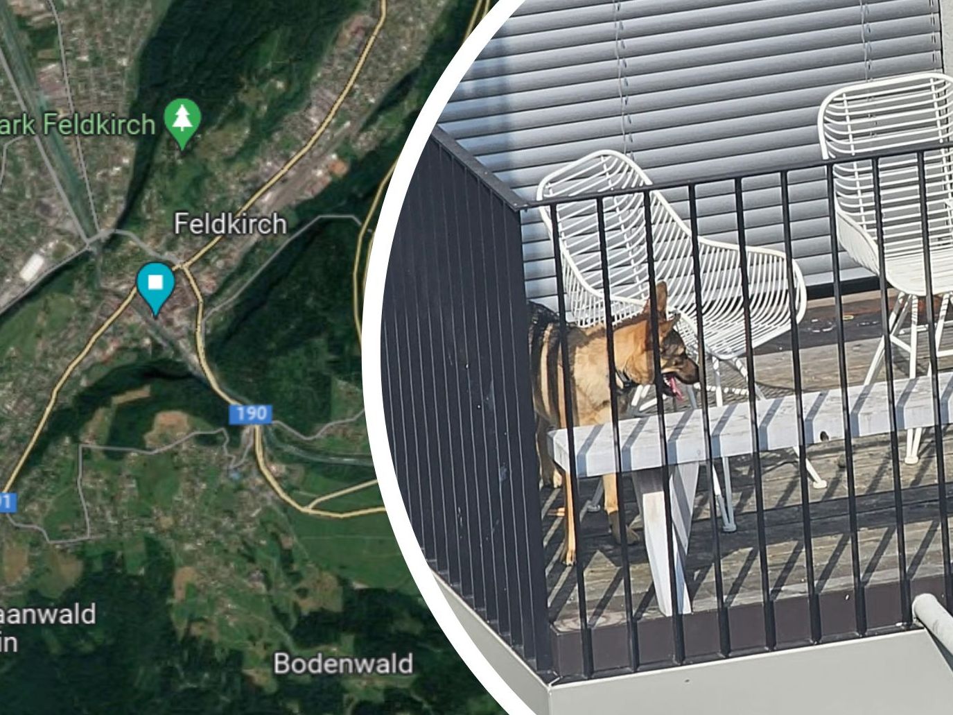 Ein Hund war ohne Schnatten auf dem Balkon ausgesperrt.