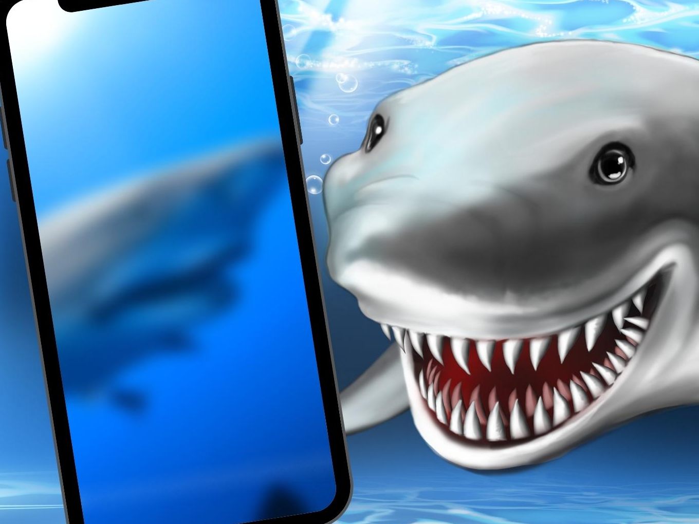 "Snooty" bezaubert viele Menschen mit ihrem Lächeln