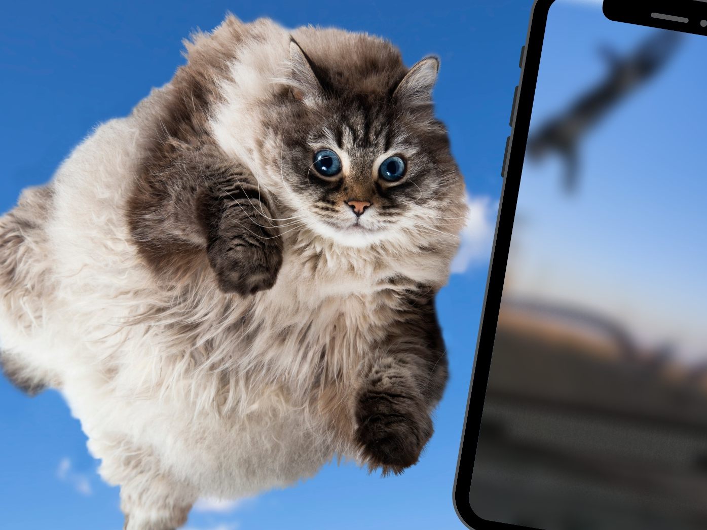 Lustiges Katzen-TikTok rettet den Montag! Lustiges Katzen-TikTok rettet den Montag!