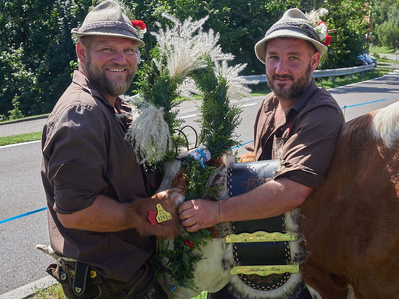 Sammelstelle "Fäscha" in Fraxern zur Verteilung der Kühe an ihre Besitzer, nach einem erfolgreichen Alpsommer auf den Alpen Maiensäß/Staffel.