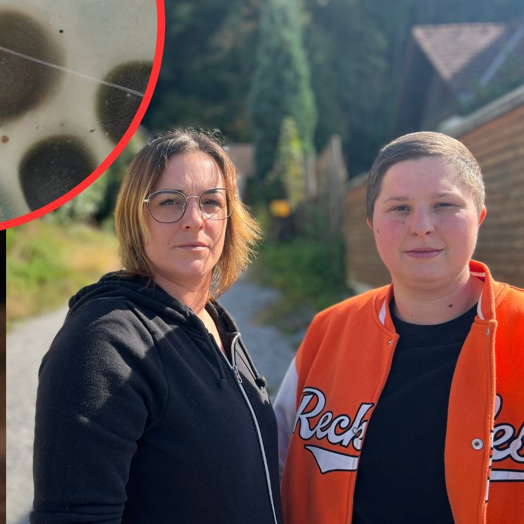 Für Familie Tangl, die aus dem Haus mit Schimmelbefall floh, heißt es weiter Warten.