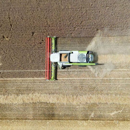 Wetterextreme Ende August sorgten für Ernteausfälle bei oberösterreichischen Landwirten.