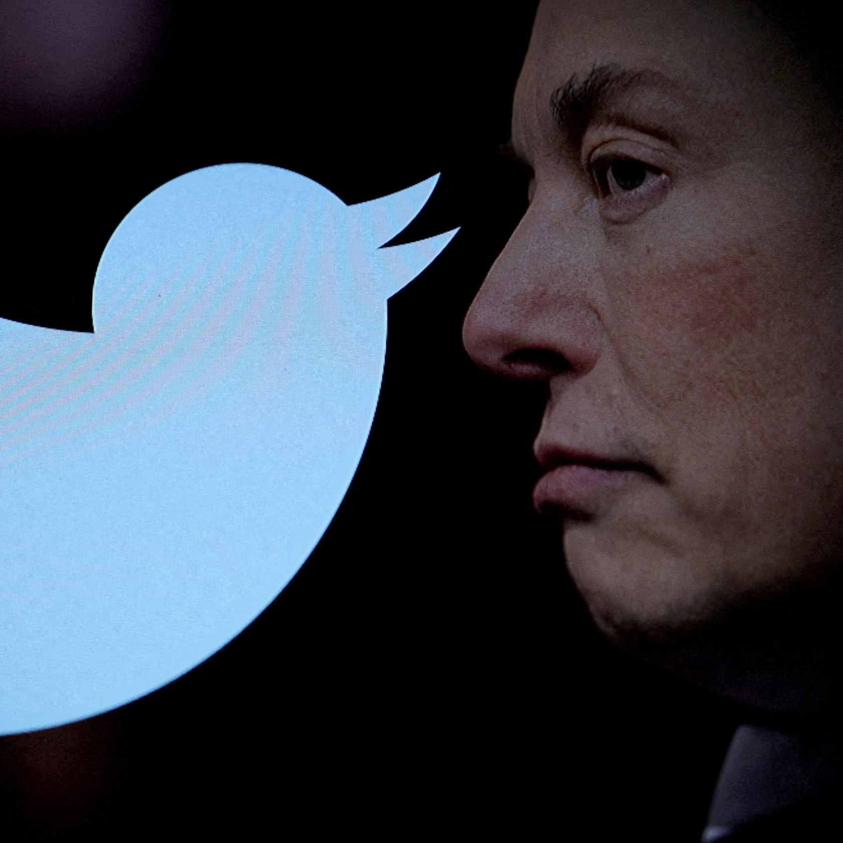 Elon Musk will von Twitter-Usern Geld.