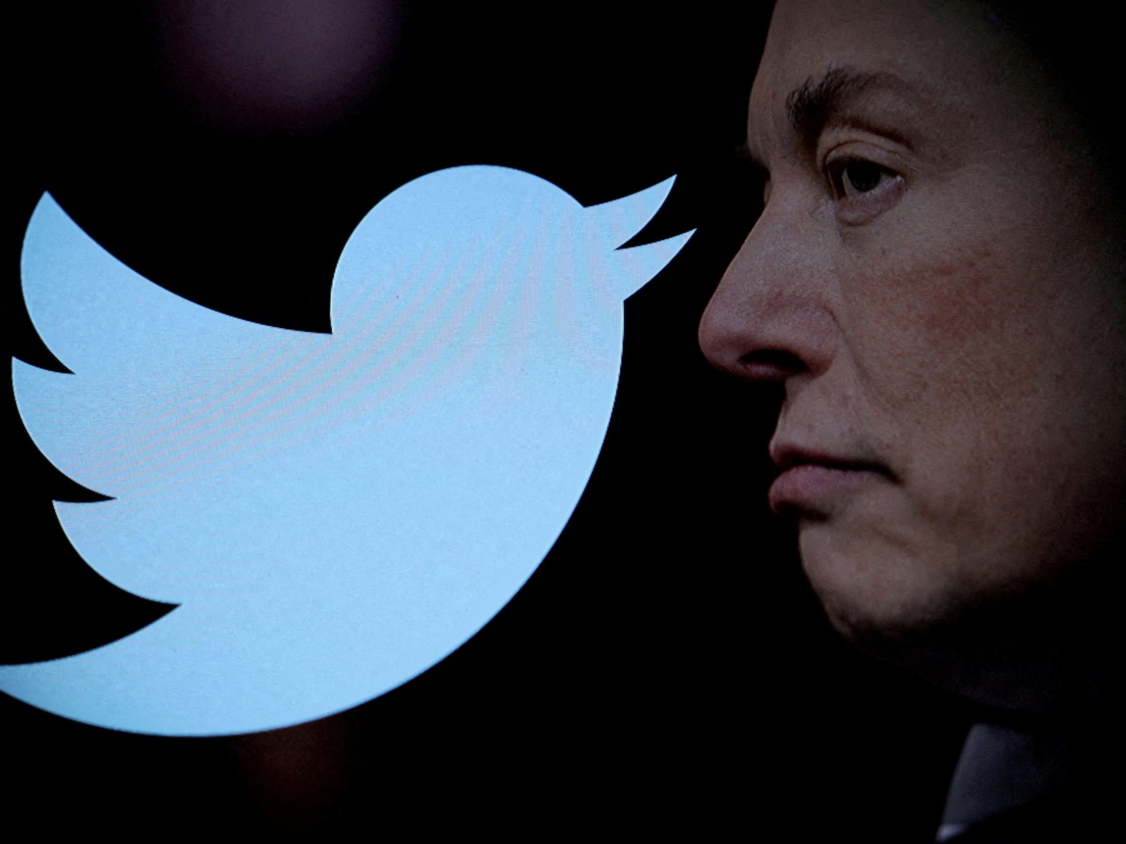 Elon Musk will von Twitter-Usern Geld. Elon Musk will von Twitter-Usern Geld.