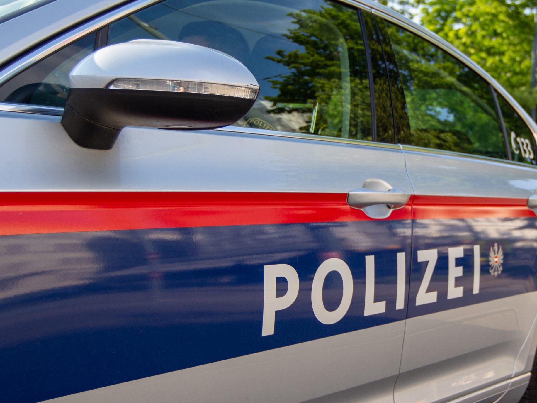 Die Wiener Polizei verhaftete den 18-Jährigen. Die Wiener Polizei verhaftete den 18-Jährigen.