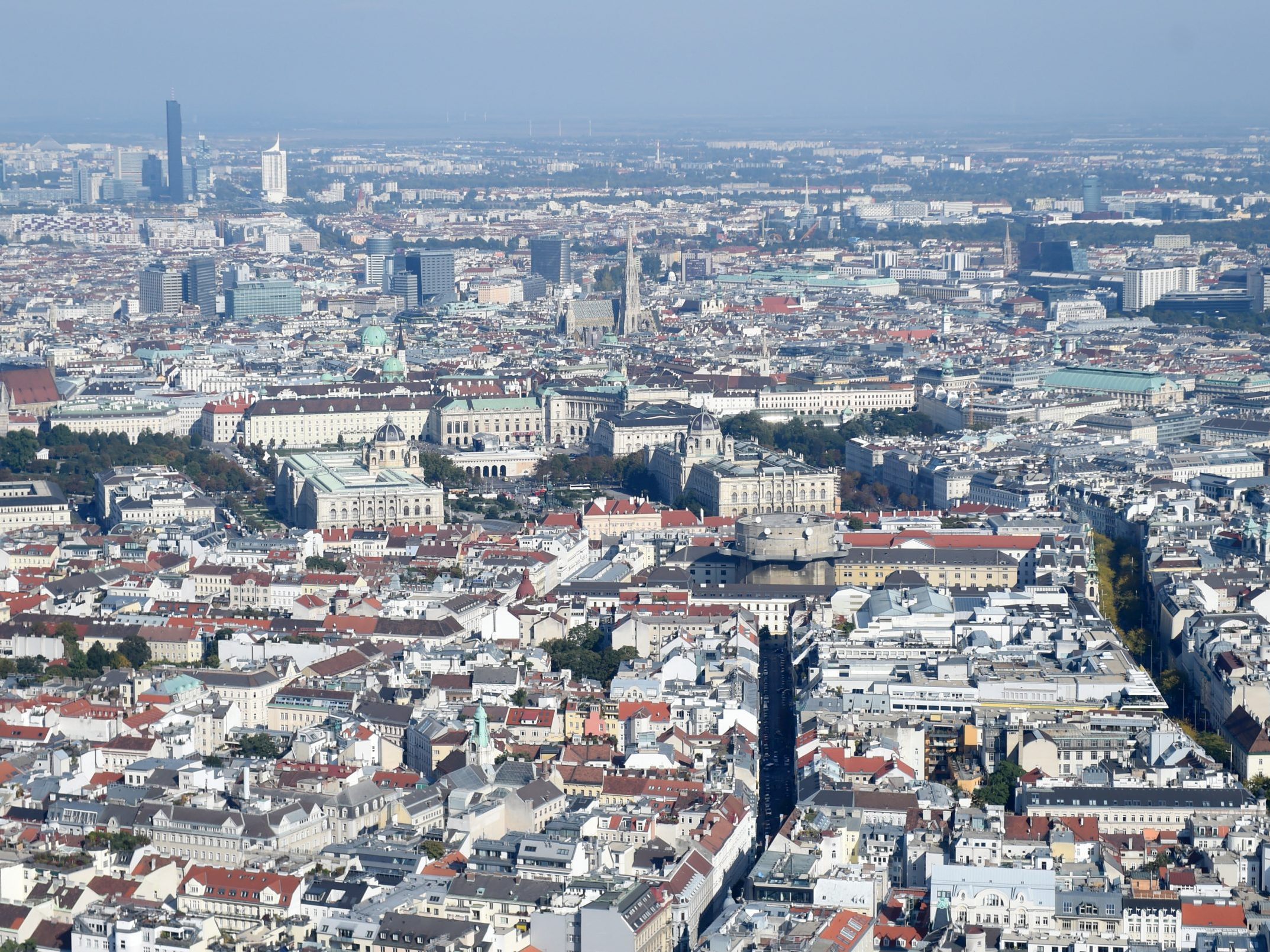 Im Bild: Wien. Im Bild: Wien.