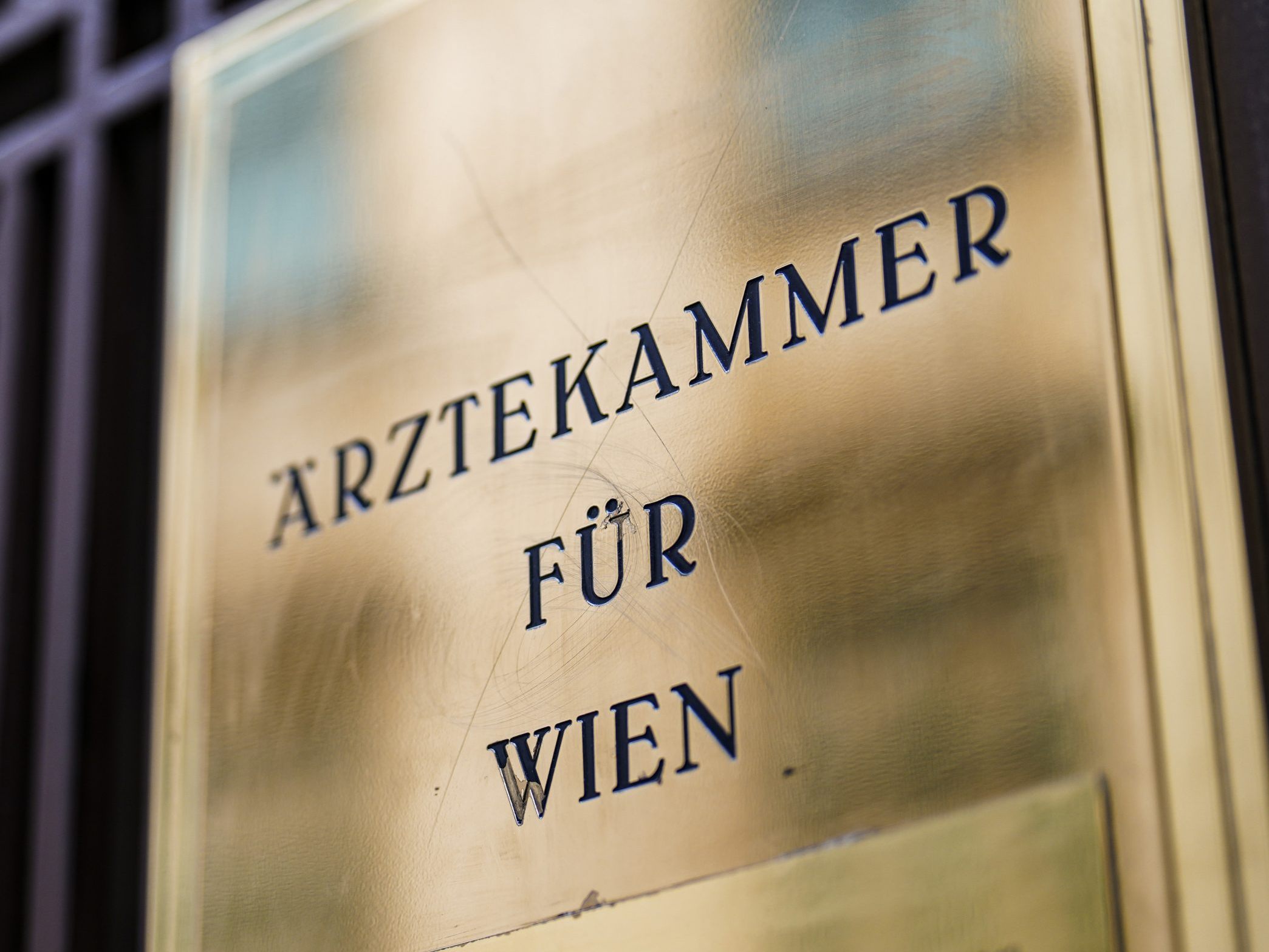 Kamaleyan-Schmied neue Obfrau der niedergelassenen Ärzte. Kamaleyan-Schmied neue Obfrau der niedergelassenen Ärzte.