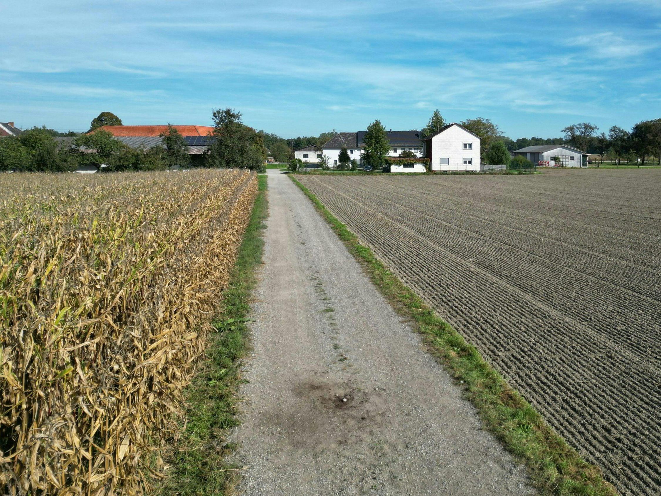 In OÖ hatte es eine Hundeattacke gegeben. In OÖ hatte es eine Hundeattacke gegeben.