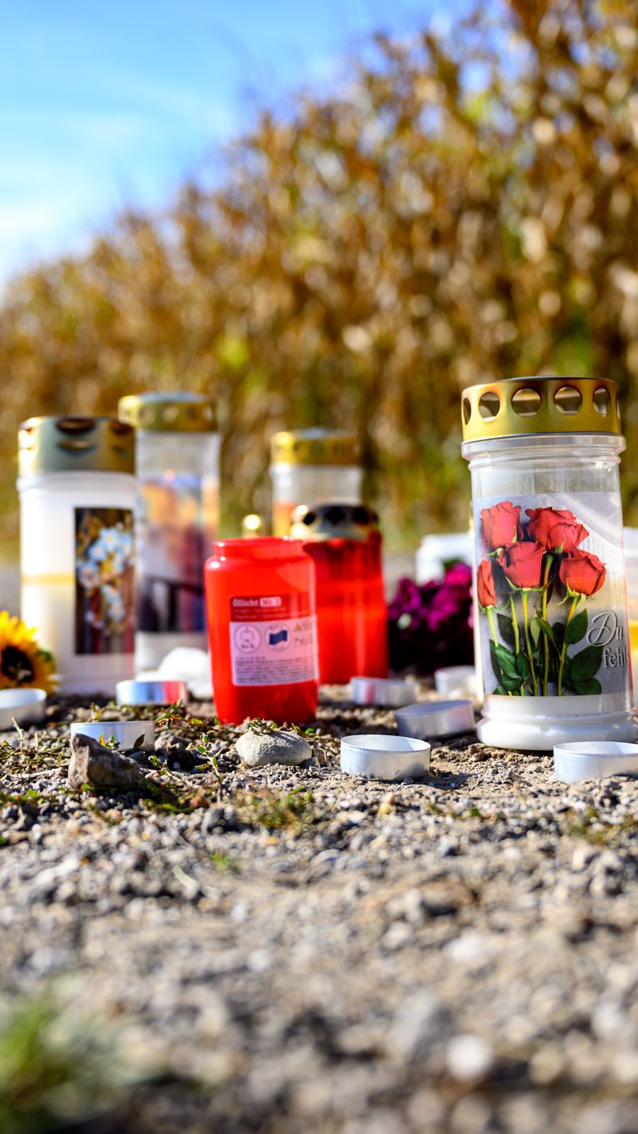 Die Obduktion ergab als Todesursache hohen Blutverlust nach unzähligen Bissen.