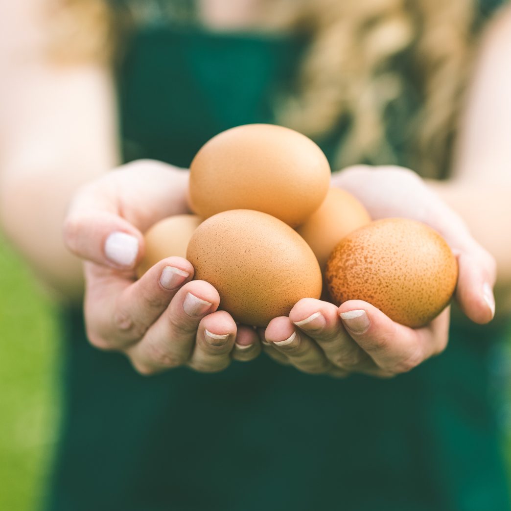 Eine Million Eier werden jährlich importiert.