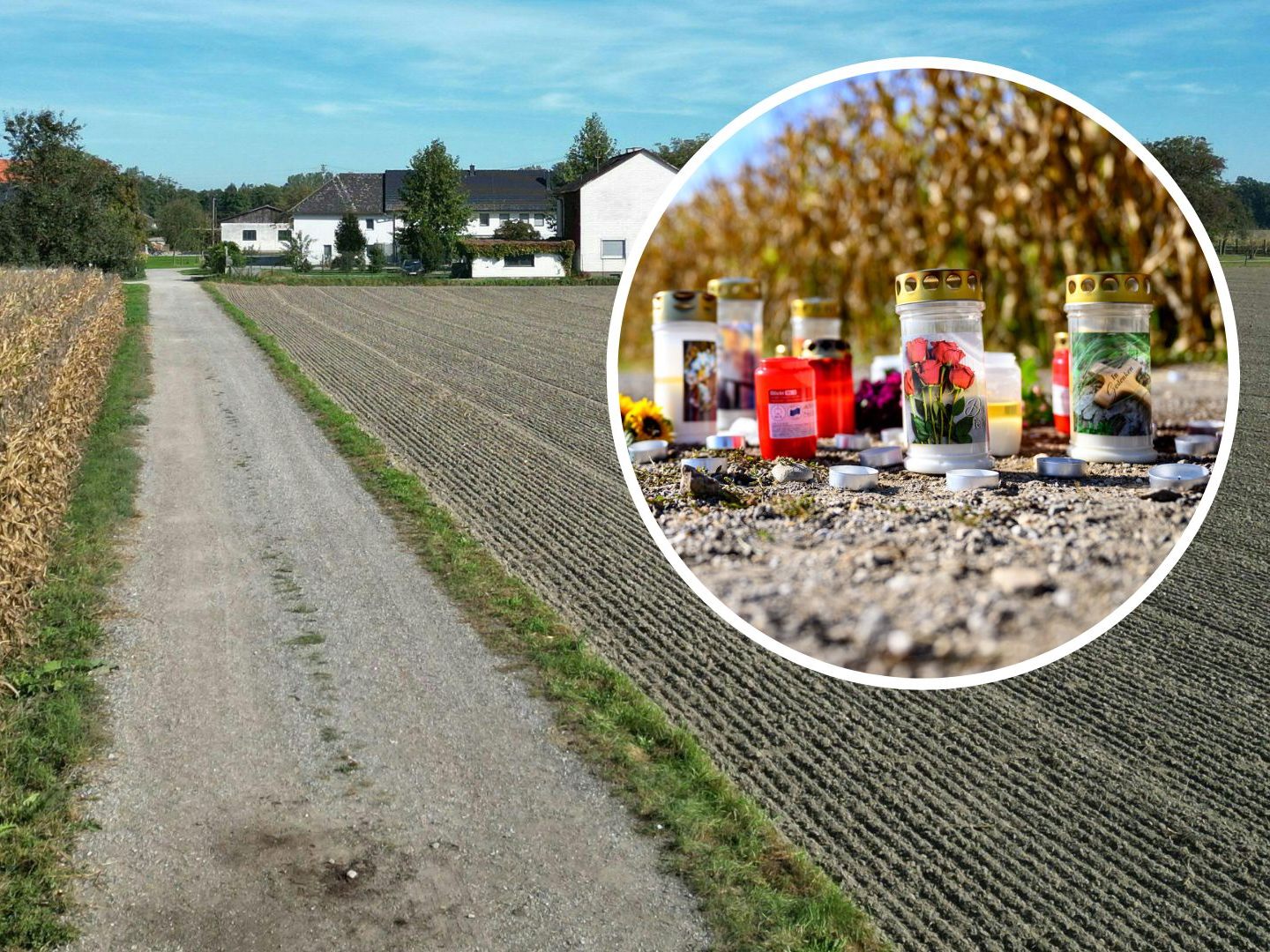 Das Paar hat alle Tiere bereits freiwillig abgegeben. Das Paar hat alle Tiere bereits freiwillig abgegeben.