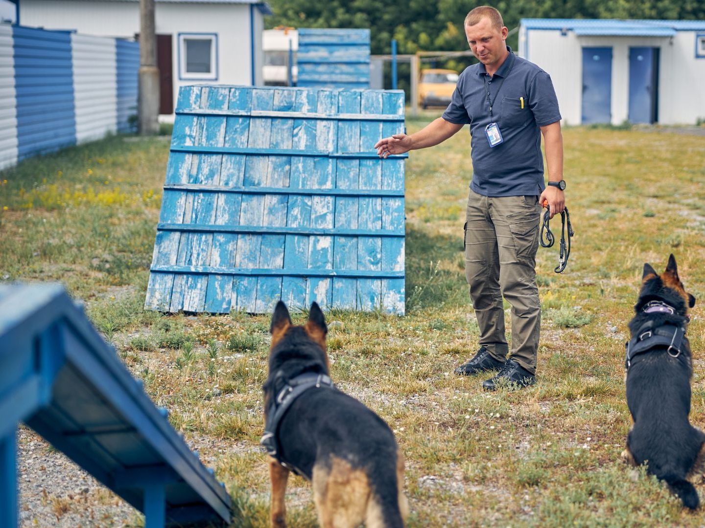 Der Kynologenverband beschloss strengere Regeln für Hundetrainer. Der Kynologenverband beschloss strengere Regeln für Hundetrainer.