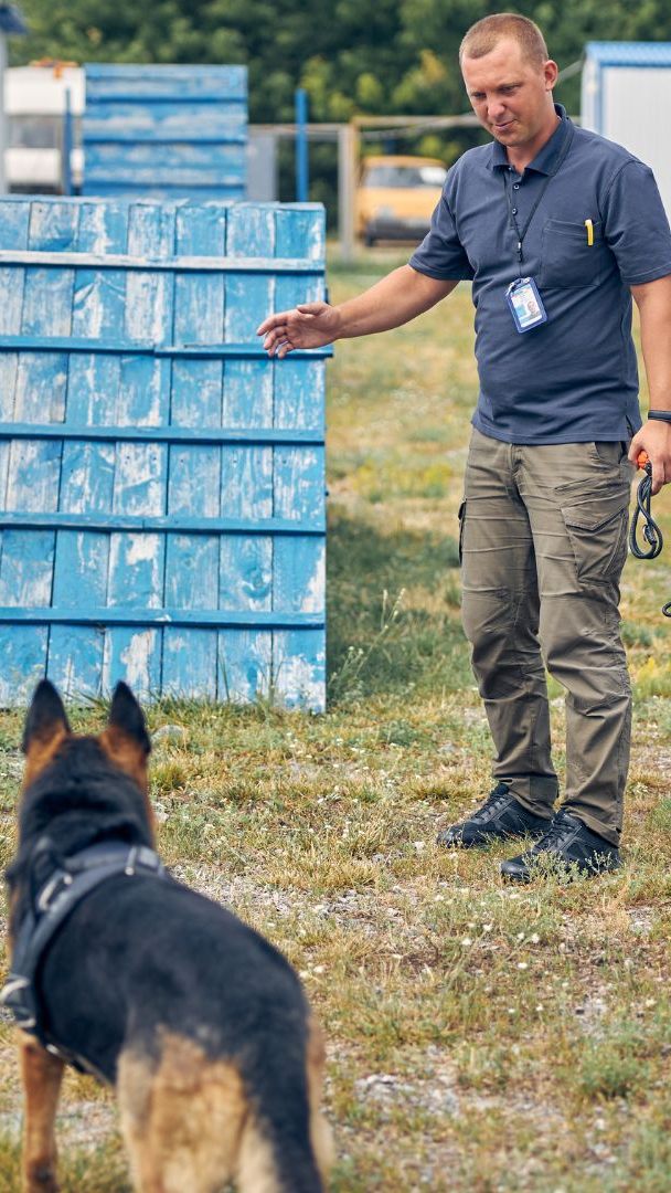 Der Kynologenverband beschloss strengere Regeln für Hundetrainer.