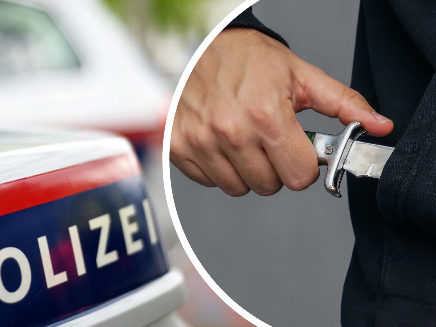 Bei einer Auseinandersetzung zwischen jungen Männern in der Wiener Venediger Au gab es einen Schwerverletzten. Bei einer Auseinandersetzung zwischen jungen Männern in der Wiener Venediger Au gab es einen Schwerverletzten.