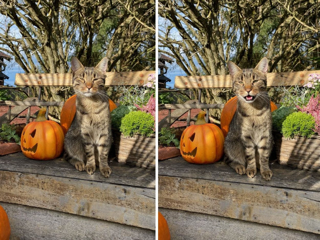 Halloween ist nicht für die Katz´. Halloween ist nicht für die Katz´.