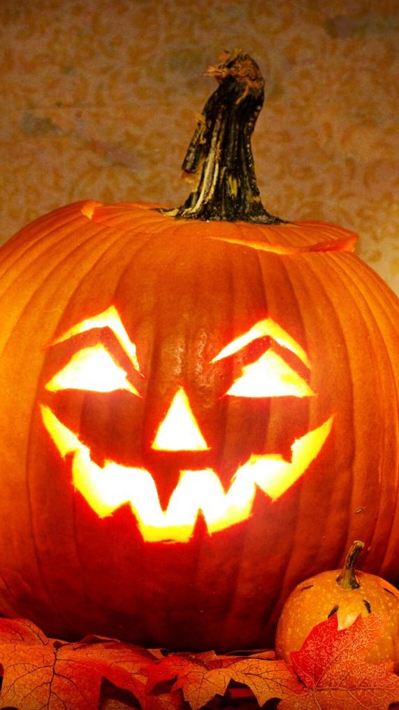 Ein Lehrer wurde mit Kürbis-Experiment auf TikTok bekannt.