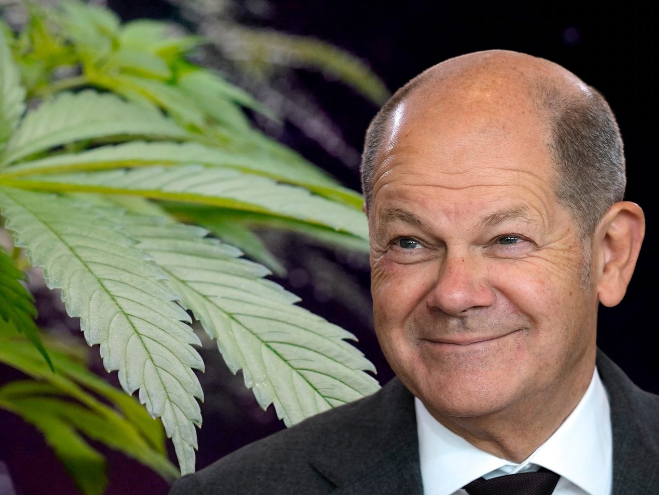 Es gibt klare Richtlinien für den Cannabis-Anbau durch Vereine und Unternehmen. Es gibt klare Richtlinien für den Cannabis-Anbau durch Vereine und Unternehmen.