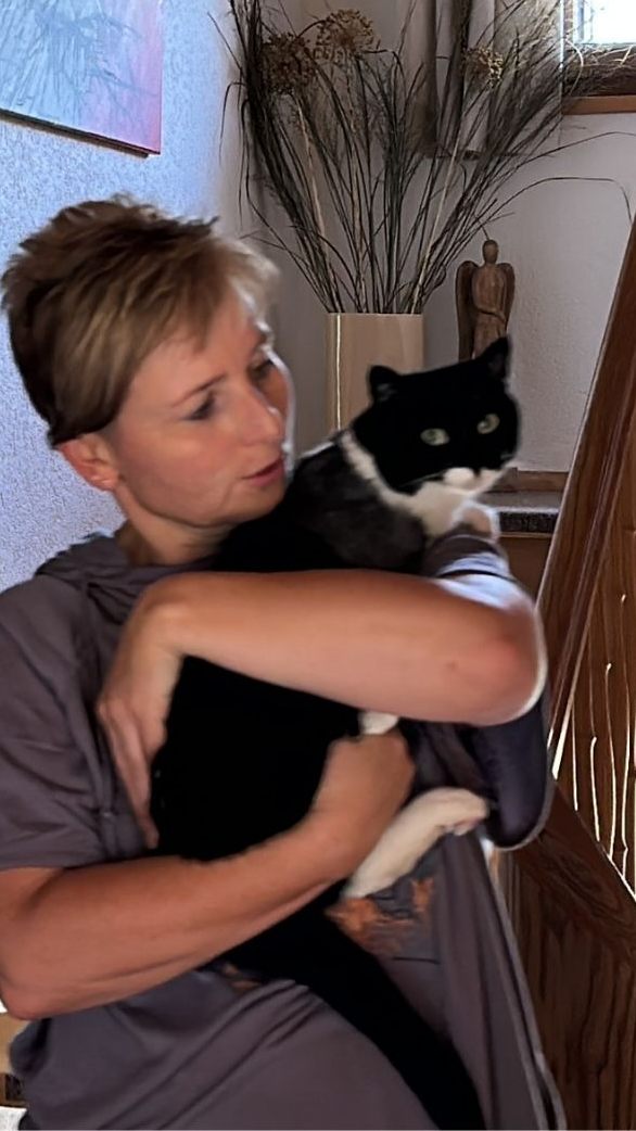 Katze Luna musste eine Pfote amputiert werden. Wie es ihr damit geht.