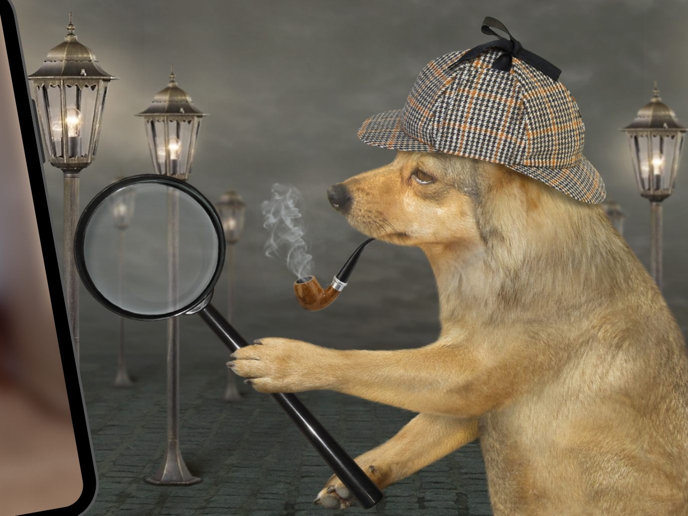 Versteckspiel zwischen Hund und Herrchen Versteckspiel zwischen Hund und Herrchen