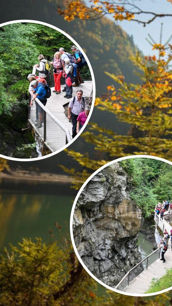 Der Staufensee hat sowohl für Naturfans als auch für Geschichtsinteressierte viel zu bieten.