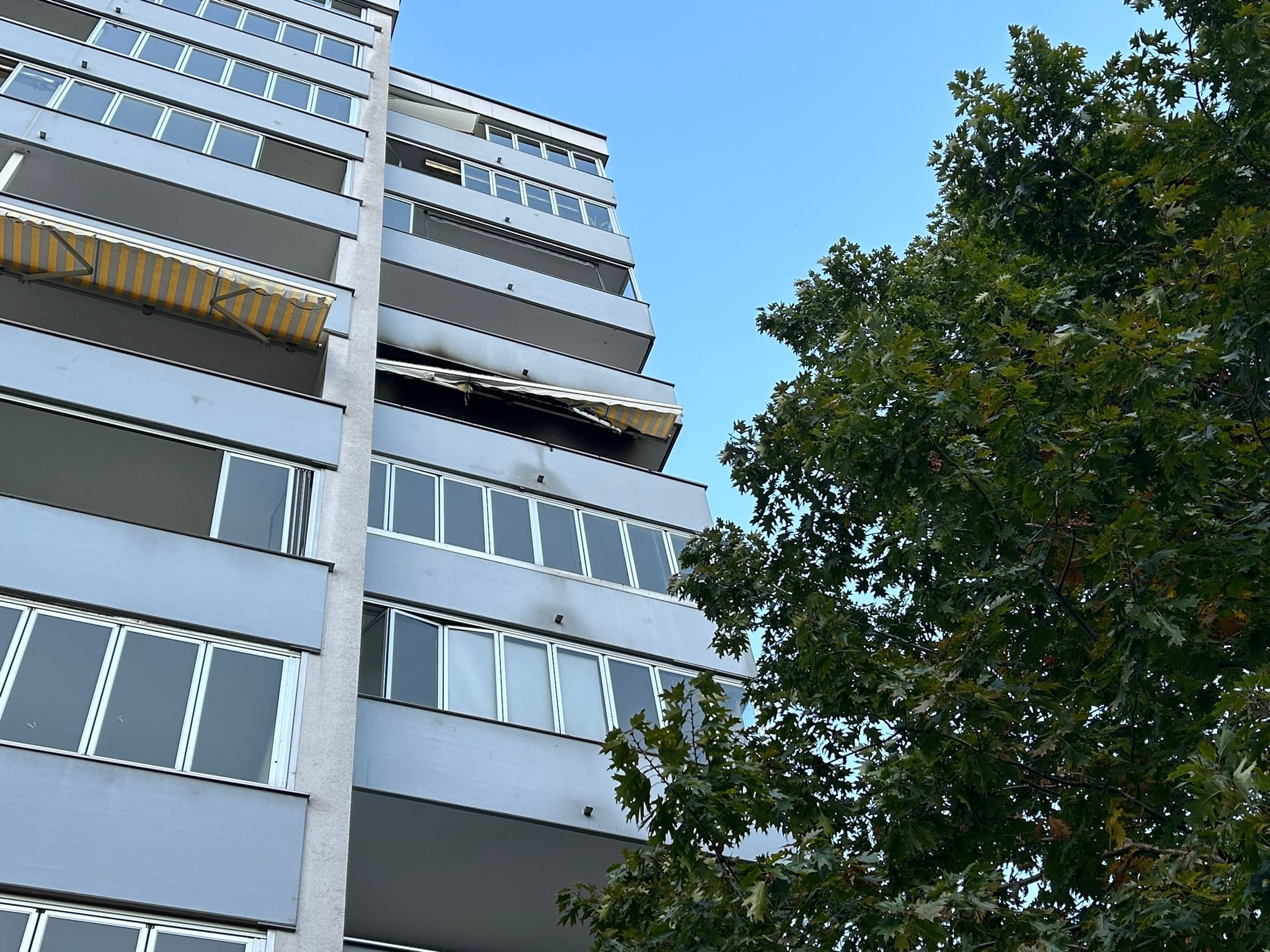 Am Freitag wurden die Einsatzkräfte in die Mutterstraße in Feldkirch gerufen.