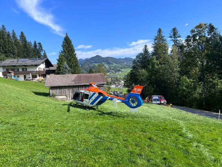 Ein 87-Jähriger verstarb nach einem schweren Unfall in Egg.