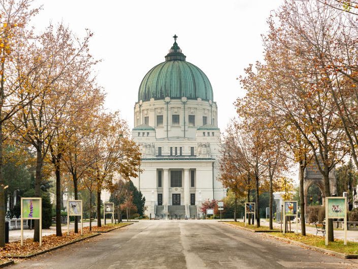 Am Wiener Zentralfriedhof eröffnete eien Open-Air-Ausstellung mit Tierfotos. Am Wiener Zentralfriedhof eröffnete eien Open-Air-Ausstellung mit Tierfotos.