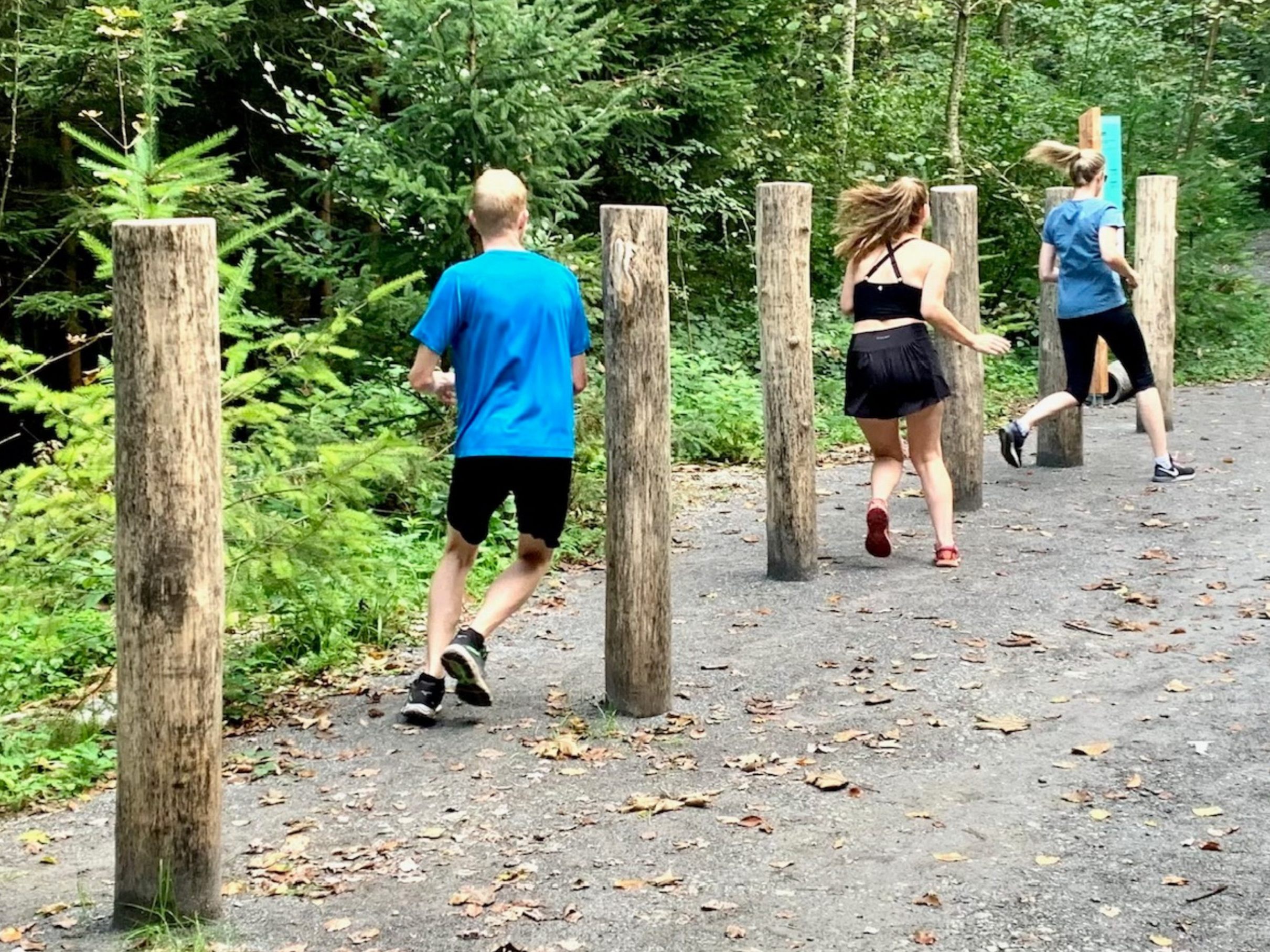 Am kommenden Samstag findet in St. Arbogast die feierliche Wiedereröffnung des Fitnessparcours statt. Am kommenden Samstag findet in St. Arbogast die feierliche Wiedereröffnung des Fitnessparcours statt.