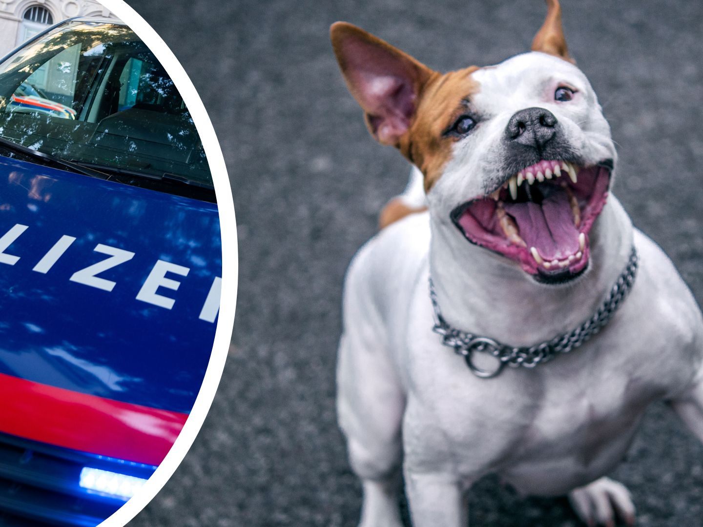 Frau an Ort und Stelle gestorben Frau an Ort und Stelle gestorben