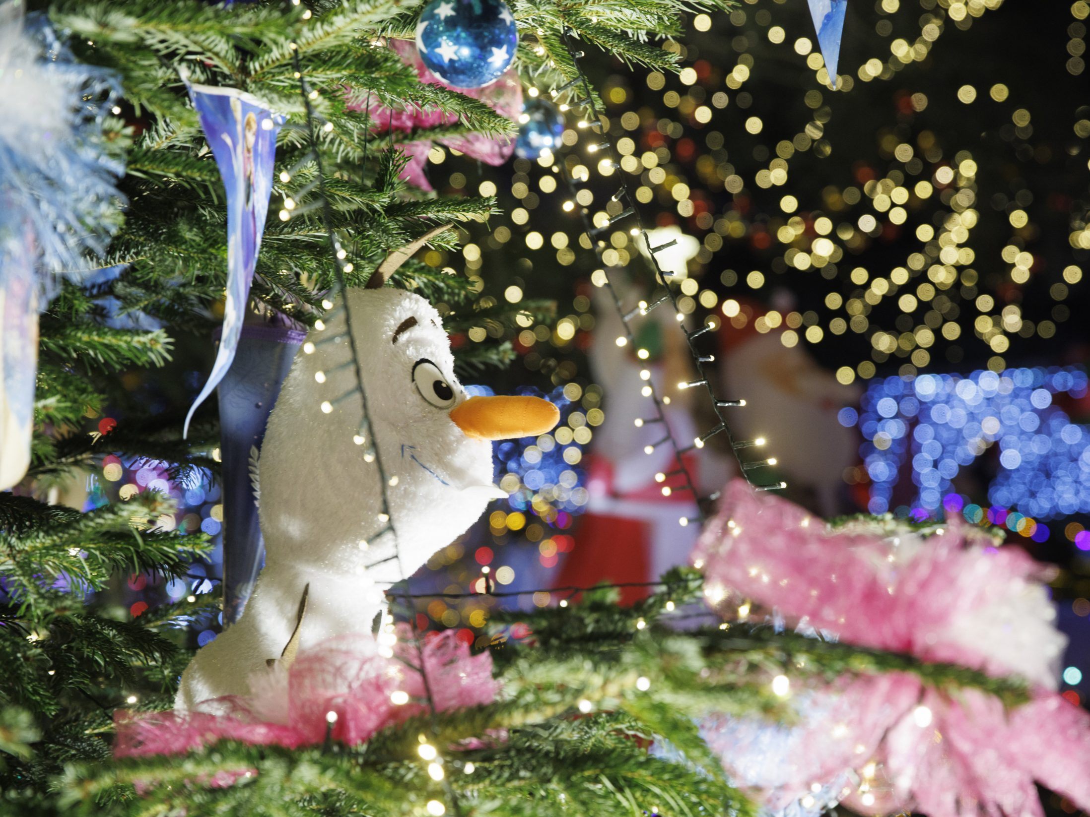 Ab Ende November erstrahlt das Weihnachtshaus in Bad Tatzmannsdorf wieder. Ab Ende November erstrahlt das Weihnachtshaus in Bad Tatzmannsdorf wieder.