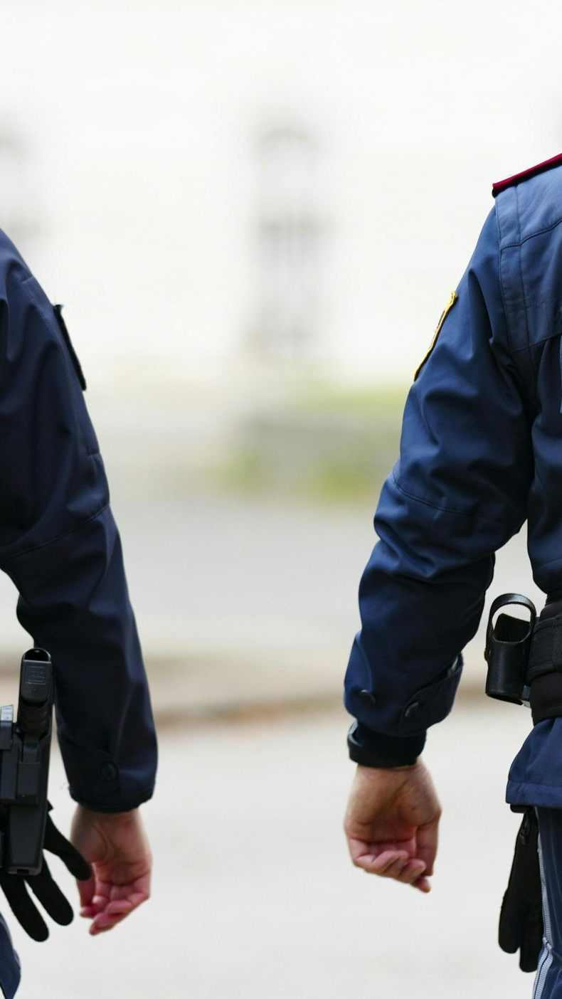 Zu Halloween kam es in NÖ zu 10 Polizeieinsätzen.