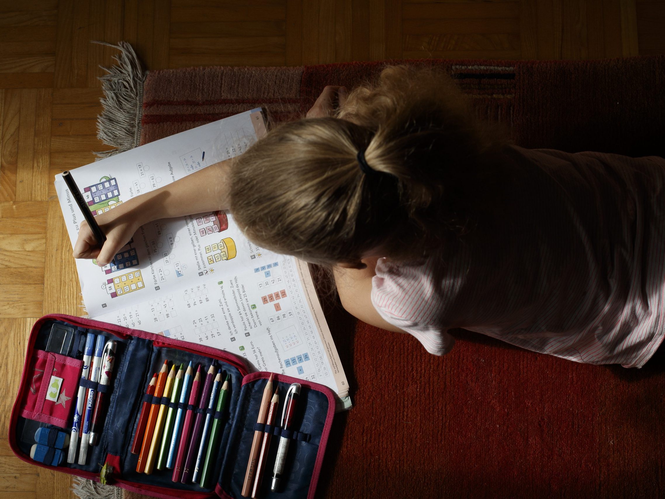 Die Zahl der Zuhause unterrichteten Kinder ist zuletzt stark zurückgegangen. Die Zahl der Zuhause unterrichteten Kinder ist zuletzt stark zurückgegangen.