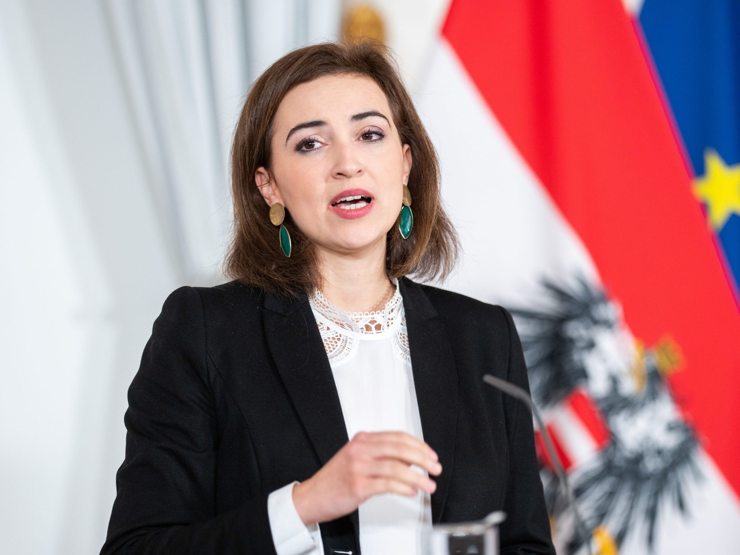 Zadic kündigte eine Untersuchungskommission an. Zadic kündigte eine Untersuchungskommission an.