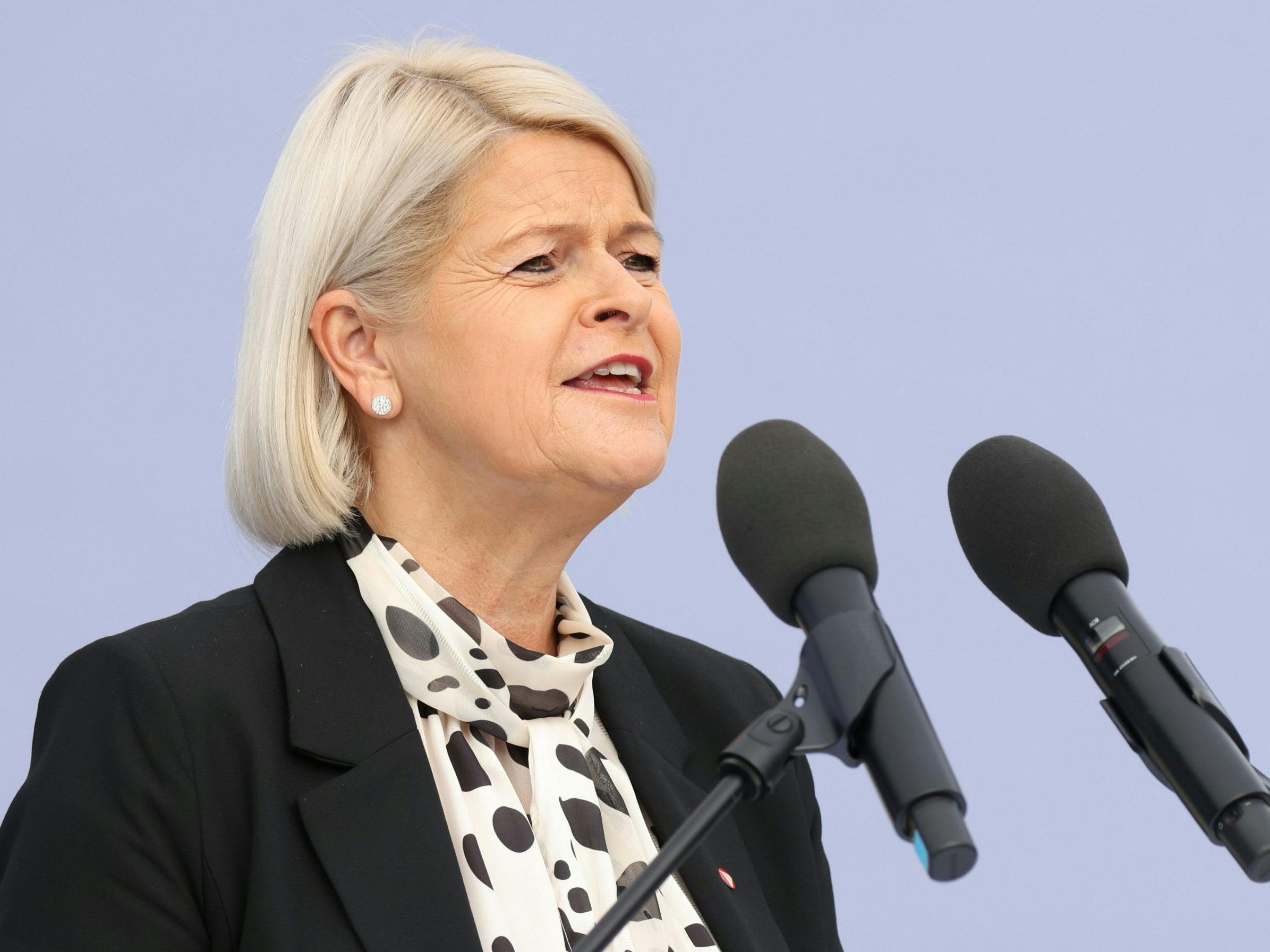 Der Aufbauplan des Bundesheeres soll ergänzt werden.