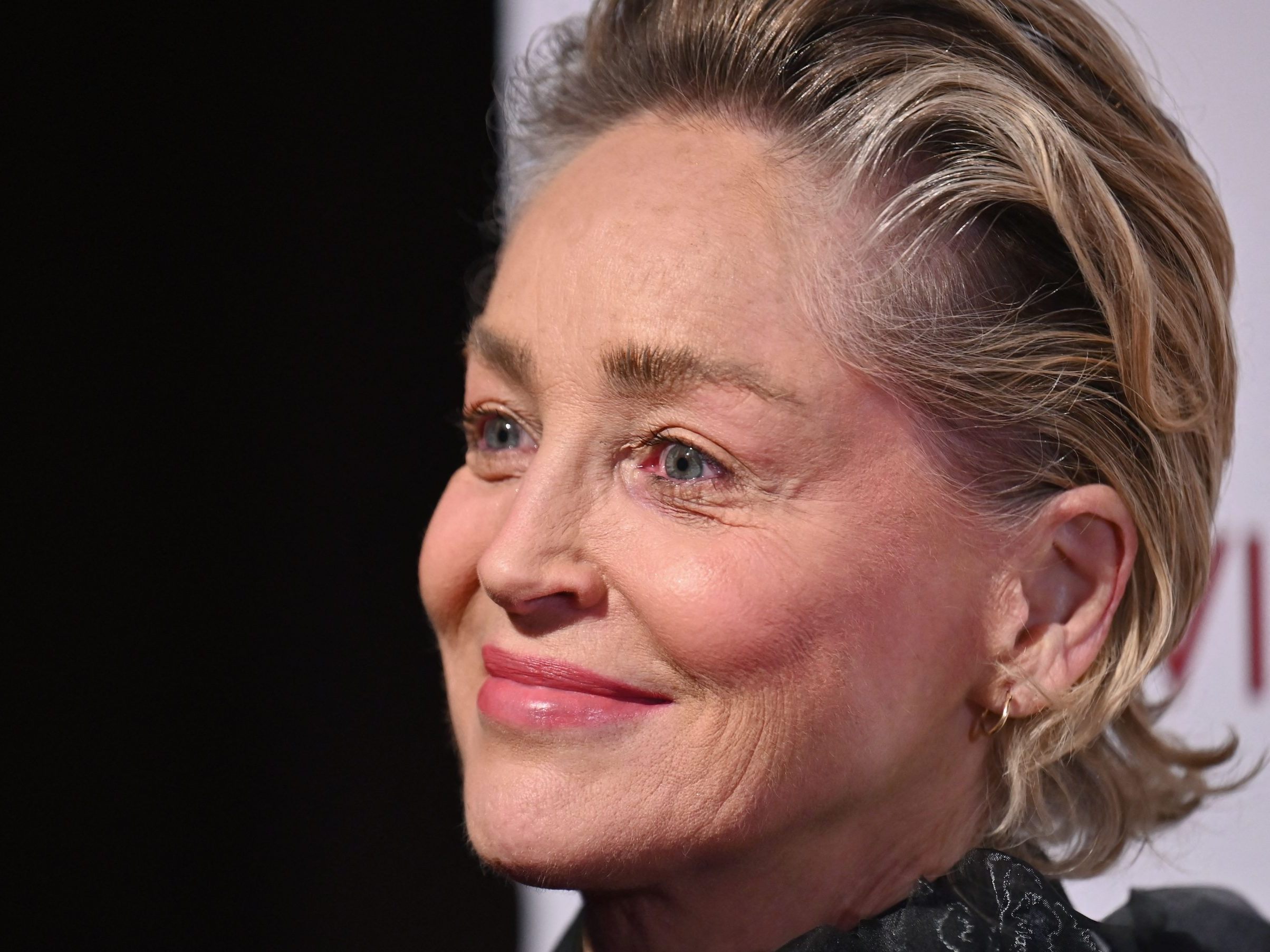 Sharon Stone erklärt, warum sie erst jetzt über den sexuellen Übergriff spricht: “Ich konnte diese Geschichte einfach nicht früher erzählen.“ Sharon Stone erklärt, warum sie erst jetzt über den sexuellen Übergriff spricht: “Ich konnte diese Geschichte einfach nicht früher erzählen.“
