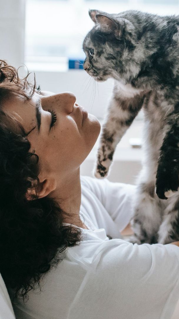 Katzen kommunizieren mit dem Menschen durch unterschiedliche Laute.