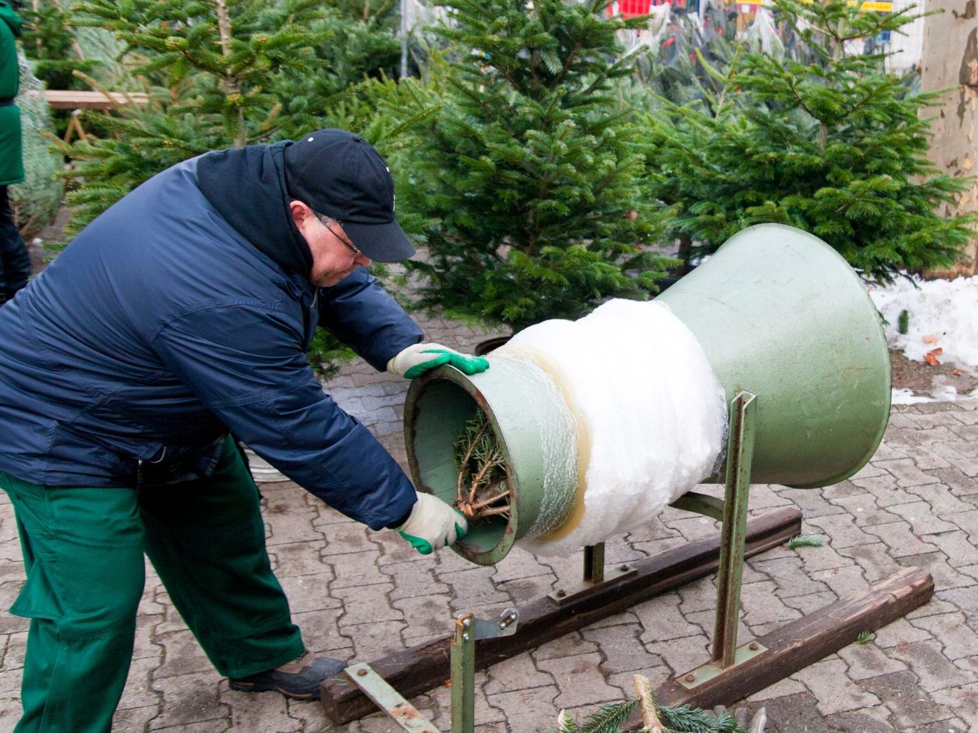 Der Christbaum köntte 2023 teuerer werden als im vergangenen Jahr.