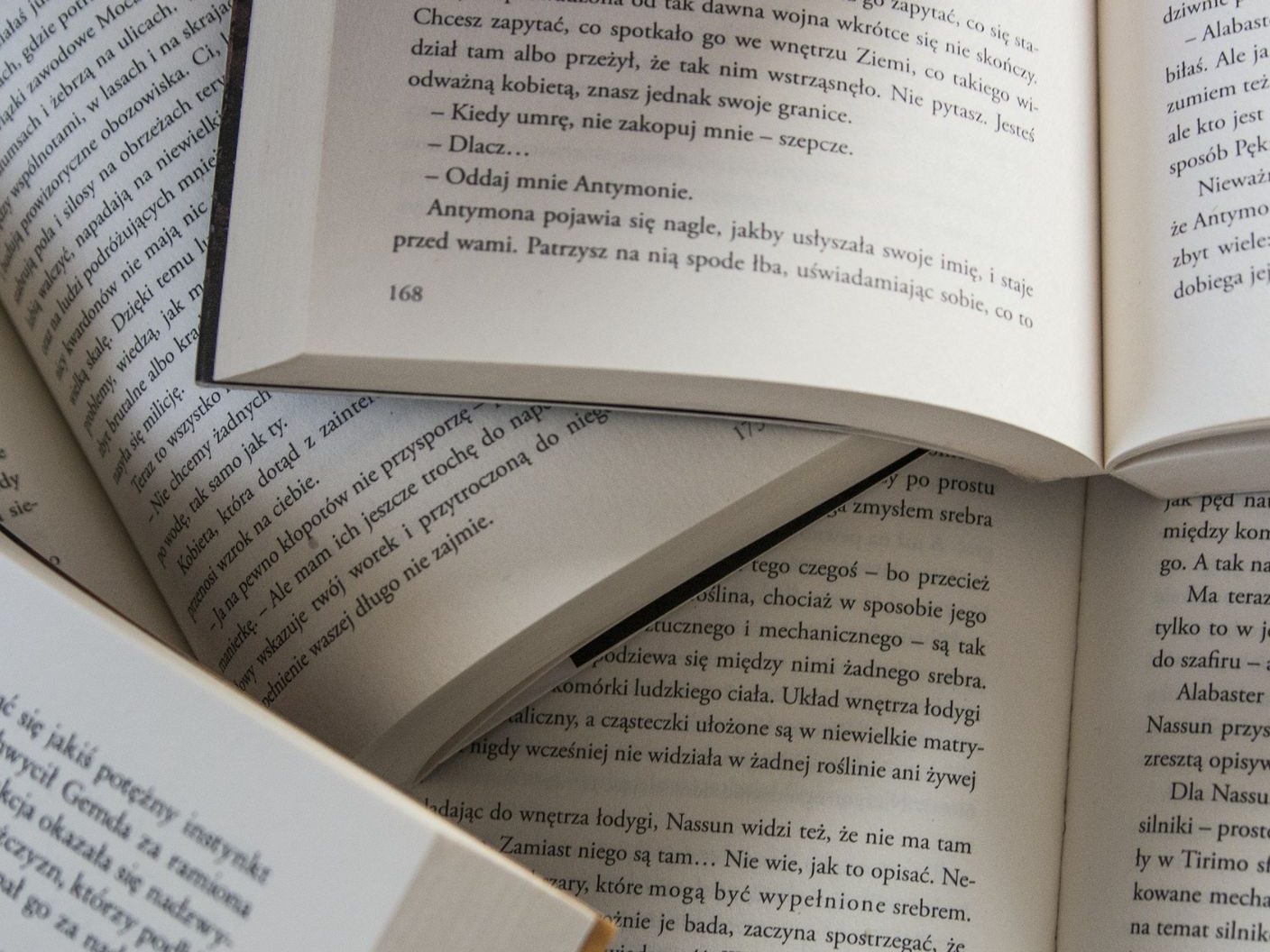 Ein Wiener Literaturfestival befasst sich mit dem "anderen Russland".